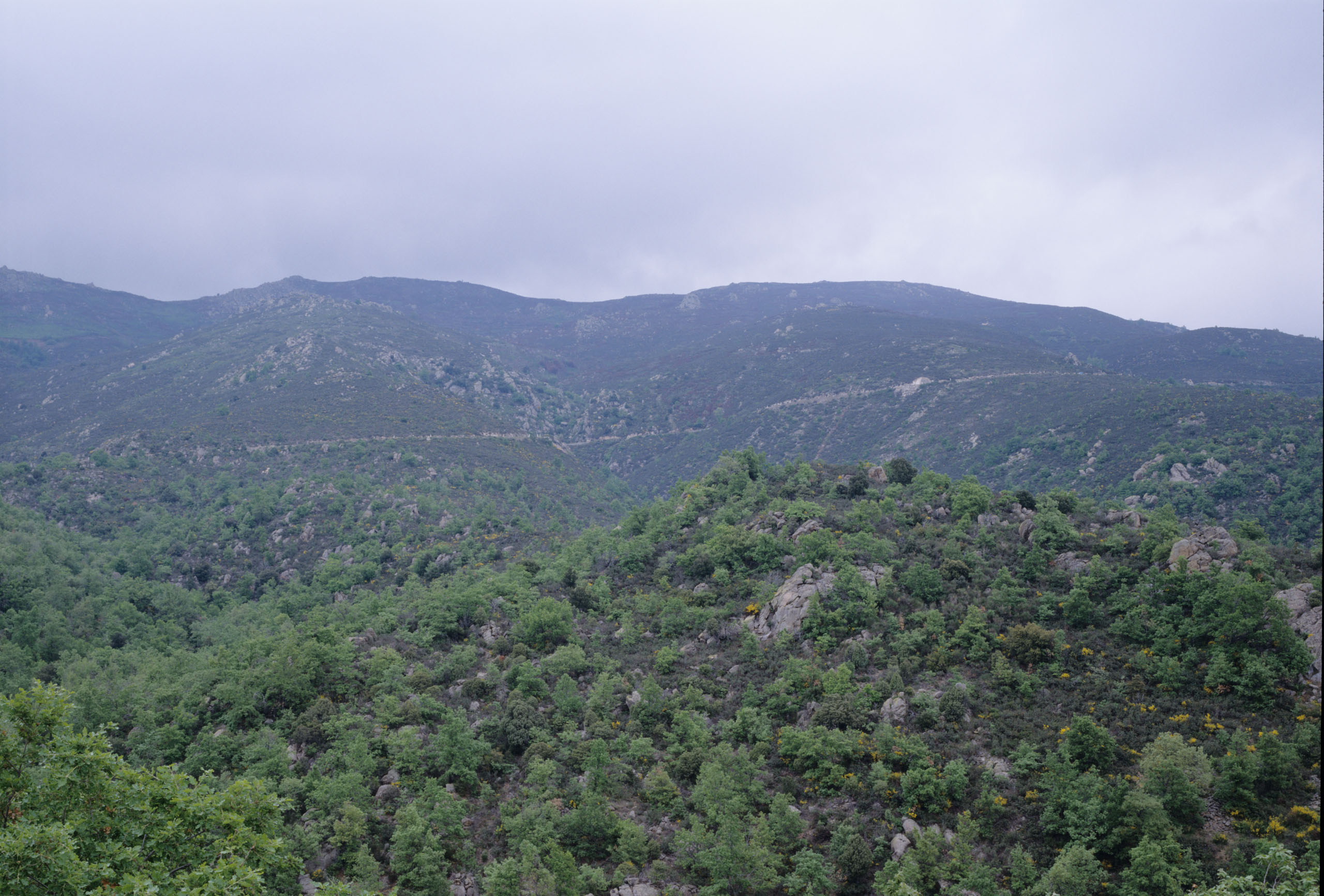 Hl06014 hlFrance 03 10 j2560